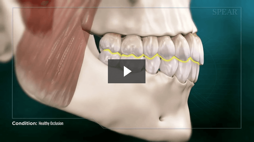 Healthy Occlusion